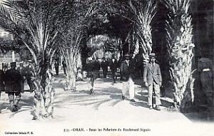 Oran - Boulevard Seguin - Sous les Palmiers